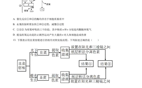 四川省成都外国语学校2023-2024学年高二上学期9月月考生物试题Word版无答案_2023年9月_029月合集_高二四川省成都外国语学校2023-2024学年高二上学期9月月考