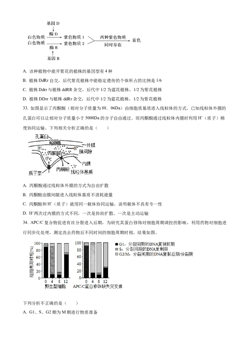 四川省成都外国语学校2023-2024学年高二上学期9月月考生物试题Word版无答案_2023年9月_029月合集_高二四川省成都外国语学校2023-2024学年高二上学期9月月考