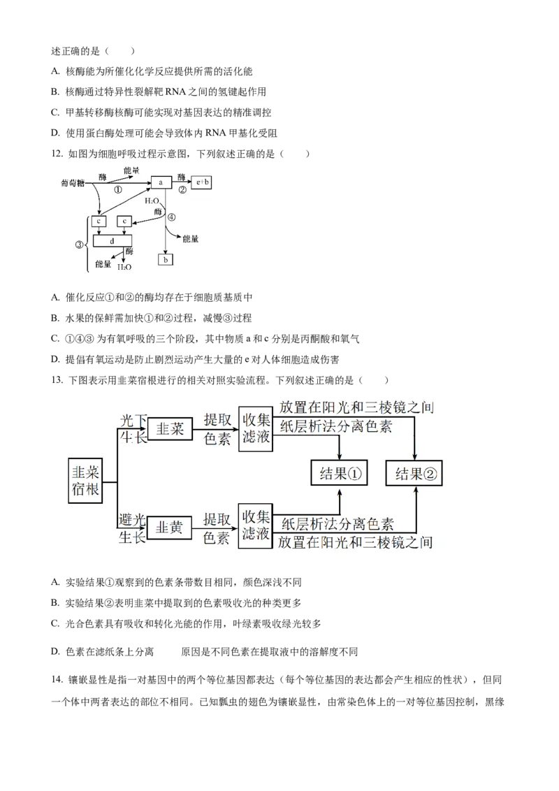 四川省成都外国语学校2023-2024学年高二上学期9月月考生物试题Word版无答案_2023年9月_029月合集_高二四川省成都外国语学校2023-2024学年高二上学期9月月考