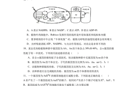 丰城中学2023-2024学年上学期高三第一次段考生物试卷(1)_2023年10月_0210月合集_2024届江西省丰城中学高三上学期10月月考_江西省丰城中学2024届高三上学期10月月考生物