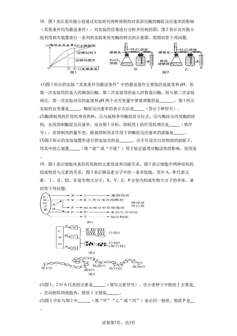 丰城中学2023-2024学年上学期高三第一次段考生物试卷(1)_2023年10月_0210月合集_2024届江西省丰城中学高三上学期10月月考_江西省丰城中学2024届高三上学期10月月考生物