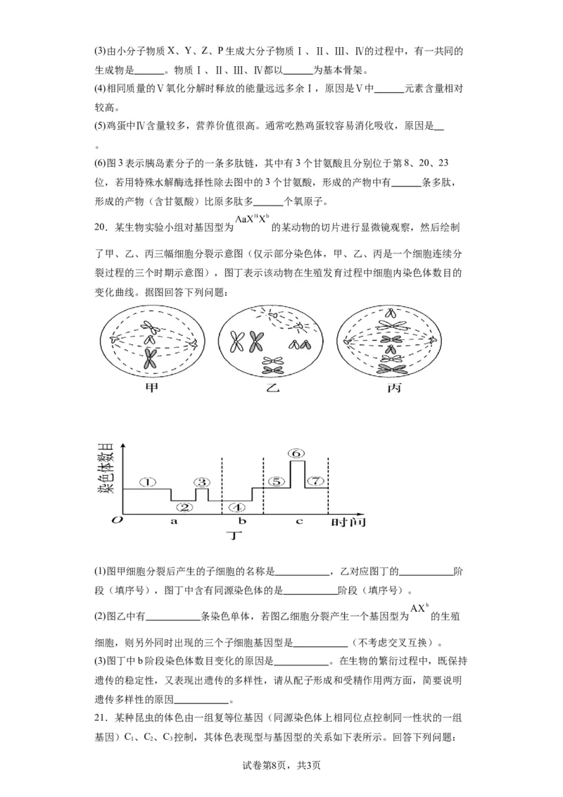 丰城中学2023-2024学年上学期高三第一次段考生物试卷(1)_2023年10月_0210月合集_2024届江西省丰城中学高三上学期10月月考_江西省丰城中学2024届高三上学期10月月考生物