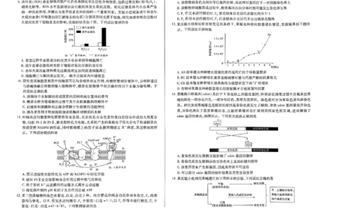 天一大联考2023-2024学年高三年级阶段性测试（一）生物(1)_2023年9月_029月合集_2024届天一大联考高三年级阶段性测试（一）