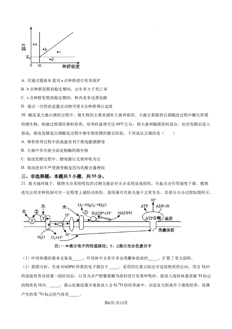2025年高考山东卷生物真题试卷_1.高考2025全国各省真题+答案_00.2025各省市高考真题及答案（按省份分类）_13、山东卷（9科全）_生物
