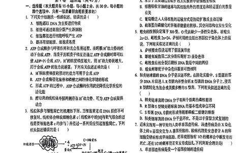 安徽省A10联盟2024届高三上学期8月开学摸底考试生物(1)_2023年8月_028月合集_2024届安徽省A10联盟高三上学期8月开学摸底考试
