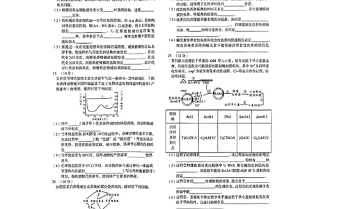 安徽省A10联盟2024届高三上学期8月开学摸底考试生物(1)_2023年8月_028月合集_2024届安徽省A10联盟高三上学期8月开学摸底考试