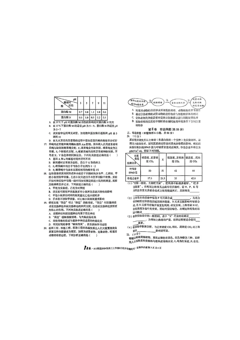 安徽省A10联盟2024届高三上学期8月开学摸底考试生物(1)_2023年8月_028月合集_2024届安徽省A10联盟高三上学期8月开学摸底考试
