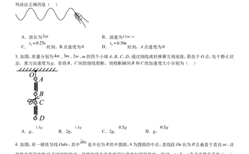 湖南物理-试题-p_近10年高考真题汇编（必刷）_2024年高考真题_高考真题（截止6.29）_其他地方卷（目前搜集不完整）_湖南卷（物、化、政、地）