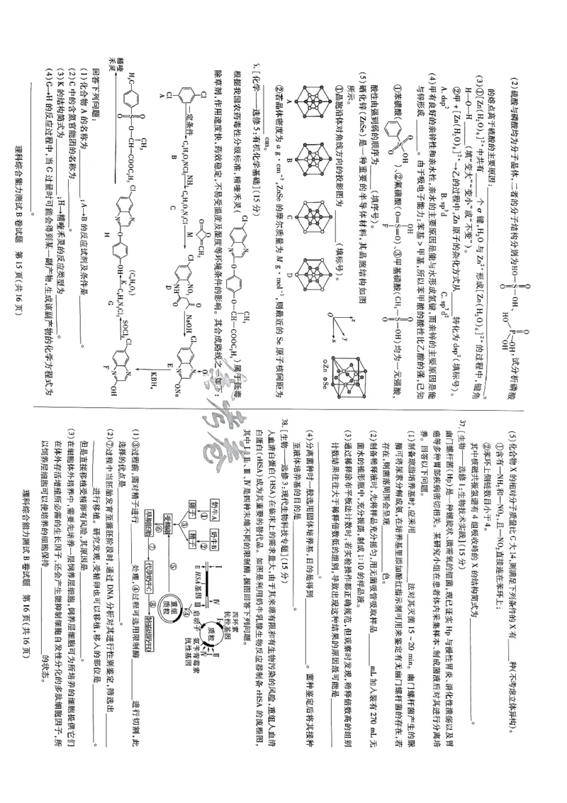 天星教育押题预测理综_2024高考押题卷_12024天星全系列_2024年TX预测押题卷（老高考）（语数英理综AB卷）_2024年天星预测押题卷（老高考）（AB卷）