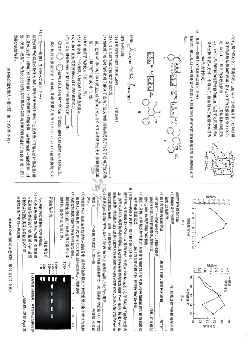 天星教育押题预测理综_2024高考押题卷_12024天星全系列_2024年TX预测押题卷（老高考）（语数英理综AB卷）_2024年天星预测押题卷（老高考）（AB卷）