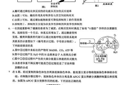 2026届四川省宜宾市高三上学期第一次诊断性测试生物试题(1)_2026年1月_260115四川省宜宾市普通高中2023级(2026届)高三年级第一次诊断性测试（宜宾一诊）