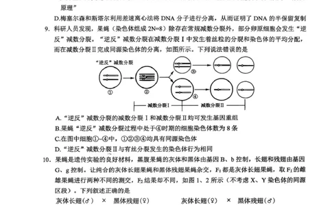 2026届四川省宜宾市高三上学期第一次诊断性测试生物试题(1)_2026年1月_260115四川省宜宾市普通高中2023级(2026届)高三年级第一次诊断性测试（宜宾一诊）