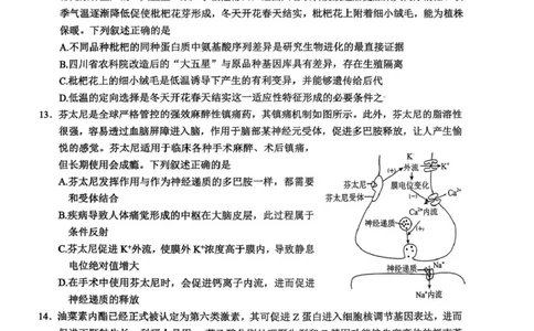 2026届四川省宜宾市高三上学期第一次诊断性测试生物试题(1)_2026年1月_260115四川省宜宾市普通高中2023级(2026届)高三年级第一次诊断性测试（宜宾一诊）