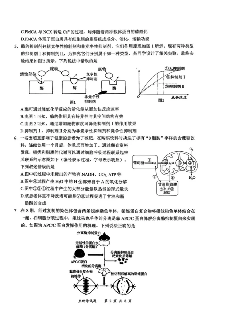 2026届四川省宜宾市高三上学期第一次诊断性测试生物试题(1)_2026年1月_260115四川省宜宾市普通高中2023级(2026届)高三年级第一次诊断性测试（宜宾一诊）