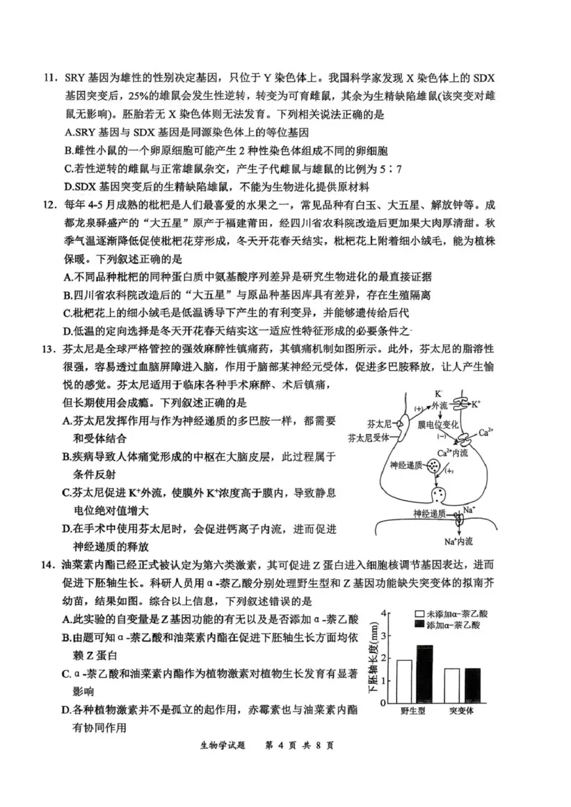 2026届四川省宜宾市高三上学期第一次诊断性测试生物试题(1)_2026年1月_260115四川省宜宾市普通高中2023级(2026届)高三年级第一次诊断性测试（宜宾一诊）