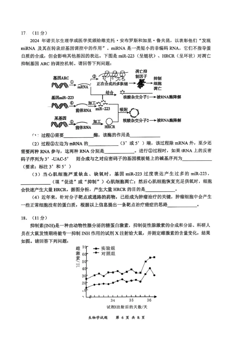 2026届四川省宜宾市高三上学期第一次诊断性测试生物试题(1)_2026年1月_260115四川省宜宾市普通高中2023级(2026届)高三年级第一次诊断性测试（宜宾一诊）