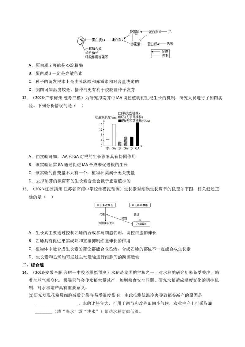 专题10植物的激素调节（学生卷）_近10年高考真题汇编（必刷）_十年（2014-2024）高考生物真题分项汇编（全国通用）_2023年高考真题和模拟题生物分项汇编（全国通用）