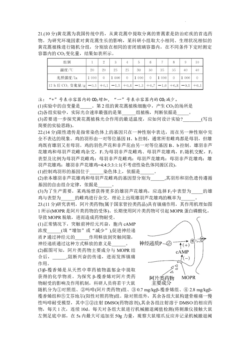 山东省齐鲁名校2024届高三上学期9月第一次学业质量联合检测生物(1)_2023年9月_029月合集_2024届山东省齐鲁名校高三上学期9月第一次学业质量联合检测