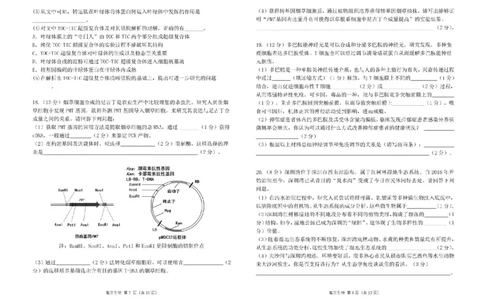 广东省南粤名校2024届高三上学期9月普通高中学科综合素养评价联考生物(1)_2023年9月_029月合集_2024届广东省南粤名校高三上学期9月普通高中学科综合素养评价联考