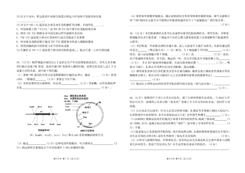 广东省南粤名校2024届高三上学期9月普通高中学科综合素养评价联考生物(1)_2023年9月_029月合集_2024届广东省南粤名校高三上学期9月普通高中学科综合素养评价联考