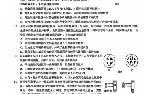 邕衡教育&middot;广西2025年5月高三模拟考生物试卷_2025年5月_2505132025届广西邕衡教育名校联盟高三下学期新高考5月全真模拟联合测试（全科）