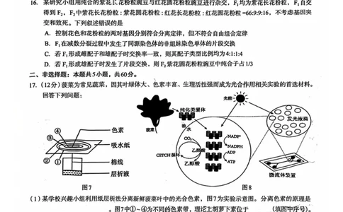 邕衡教育&middot;广西2025年5月高三模拟考生物试卷_2025年5月_2505132025届广西邕衡教育名校联盟高三下学期新高考5月全真模拟联合测试（全科）