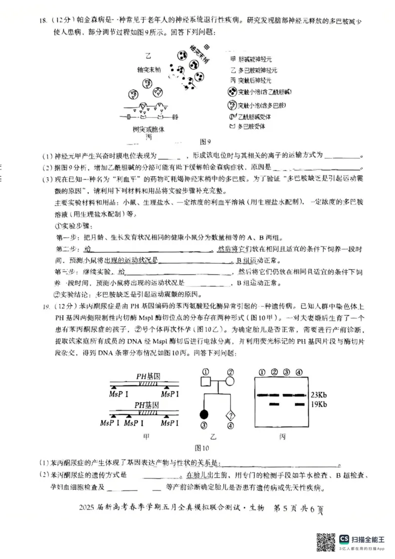邕衡教育&middot;广西2025年5月高三模拟考生物试卷_2025年5月_2505132025届广西邕衡教育名校联盟高三下学期新高考5月全真模拟联合测试（全科）