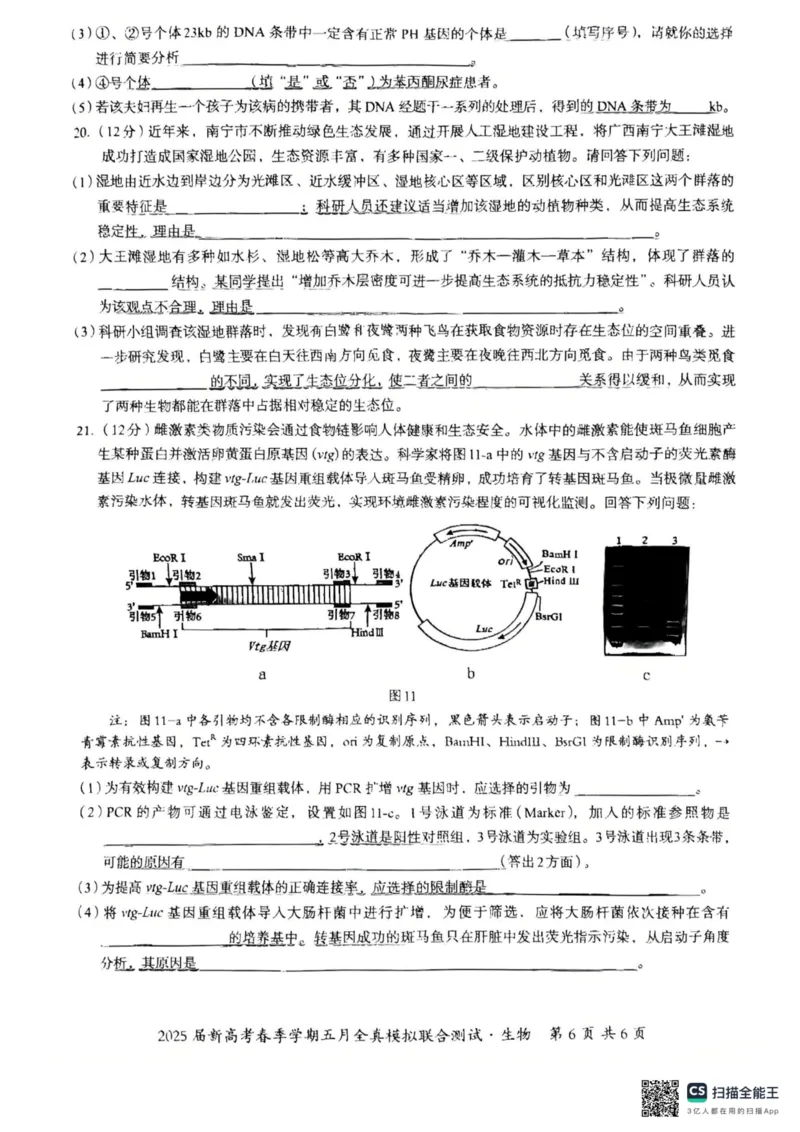 邕衡教育&middot;广西2025年5月高三模拟考生物试卷_2025年5月_2505132025届广西邕衡教育名校联盟高三下学期新高考5月全真模拟联合测试（全科）