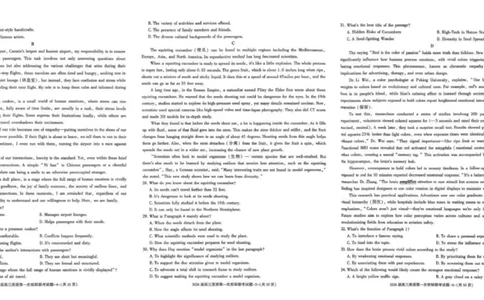 高三英语校级i联考_2025年9月_250908陕西省汉中市2026届高三上学期第一次校际联考（全科）_陕西省汉中市2026届高三上学期第一次校际联考试题英语试题（有听力）