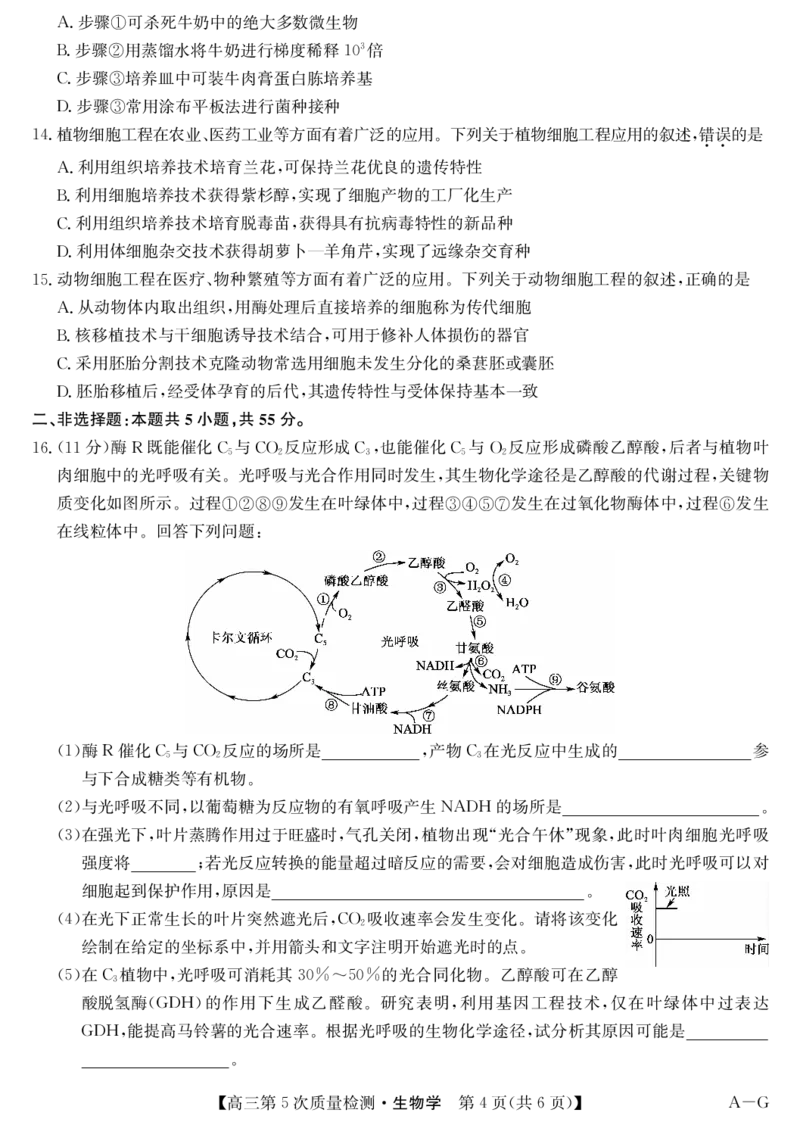 生物-第5次质量检测（AG）(1)_2026年1月_260114安徽省九师联盟2025-2026学年高三（1月）第五次质量检测（全）