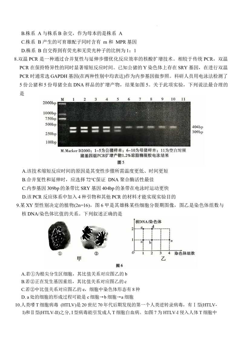 重庆市第八中学2026届高三9月高考适应性月考卷（一）生物试卷（含答案）_2025年9月_250927重庆市第八中学校2025-2026学年高三上学期9月月考