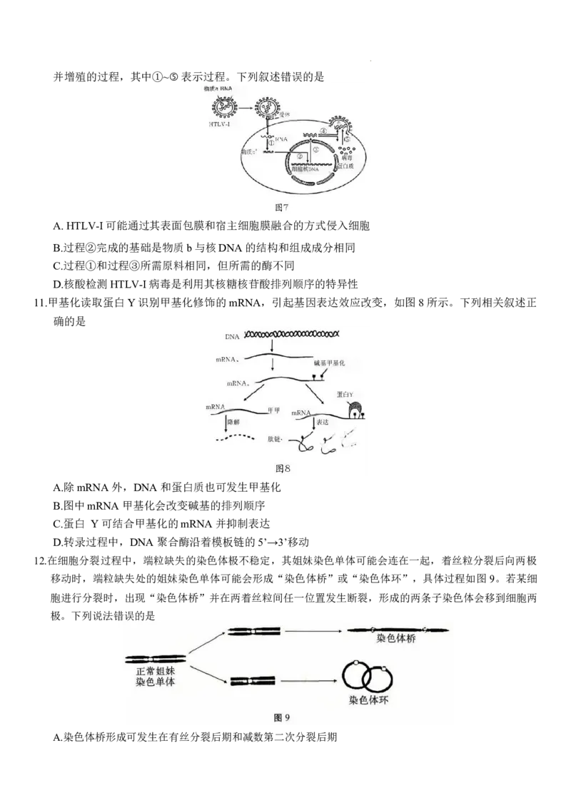 重庆市第八中学2026届高三9月高考适应性月考卷（一）生物试卷（含答案）_2025年9月_250927重庆市第八中学校2025-2026学年高三上学期9月月考