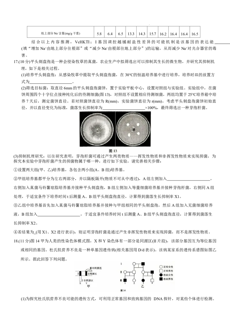 重庆市第八中学2026届高三9月高考适应性月考卷（一）生物试卷（含答案）_2025年9月_250927重庆市第八中学校2025-2026学年高三上学期9月月考