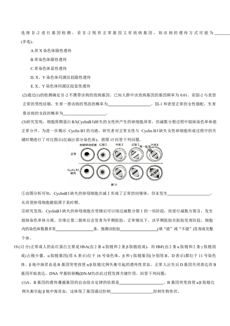 重庆市第八中学2026届高三9月高考适应性月考卷（一）生物试卷（含答案）_2025年9月_250927重庆市第八中学校2025-2026学年高三上学期9月月考