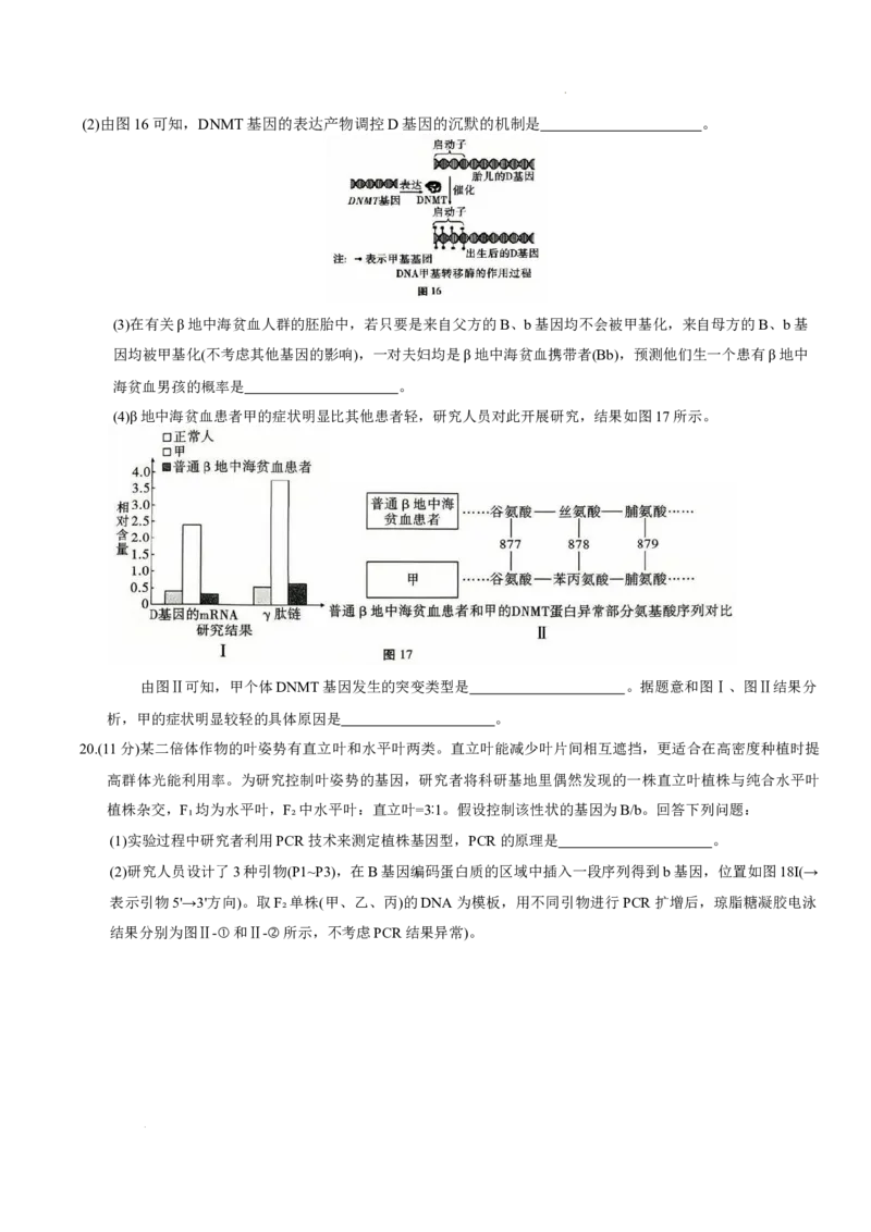 重庆市第八中学2026届高三9月高考适应性月考卷（一）生物试卷（含答案）_2025年9月_250927重庆市第八中学校2025-2026学年高三上学期9月月考