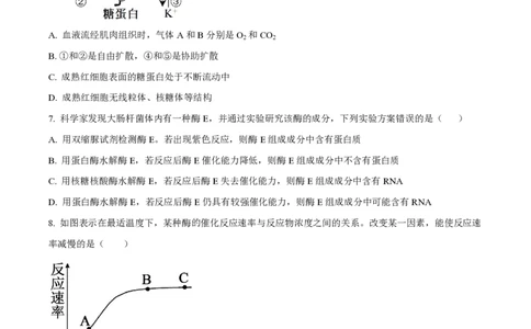 云南省红河州开远市第一中学2024届高三上学期开学考试生物(1)_2023年9月_029月合集_2024届云南省红河州开远市第一中学高三上学期开学考试
