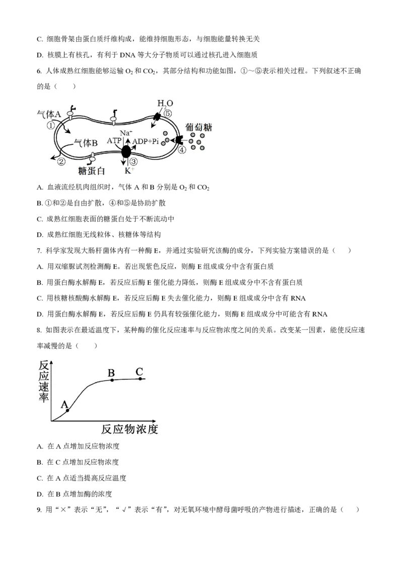 云南省红河州开远市第一中学2024届高三上学期开学考试生物(1)_2023年9月_029月合集_2024届云南省红河州开远市第一中学高三上学期开学考试