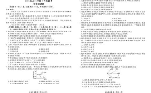 高三生物正文（2026届高三年级9月份联考）_2025年10月_251001广东衡水金卷2026届高三年级9月份联考（全科）_广东省衡水金卷2025-2026学年高三上学期9月月考生物试题（含答案）