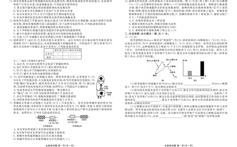 高三生物正文（2026届高三年级9月份联考）_2025年10月_251001广东衡水金卷2026届高三年级9月份联考（全科）_广东省衡水金卷2025-2026学年高三上学期9月月考生物试题（含答案）