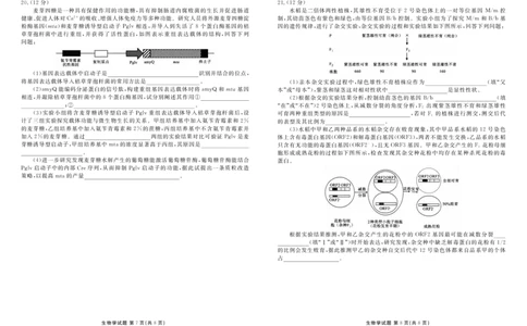 高三生物正文（2026届高三年级9月份联考）_2025年10月_251001广东衡水金卷2026届高三年级9月份联考（全科）_广东省衡水金卷2025-2026学年高三上学期9月月考生物试题（含答案）