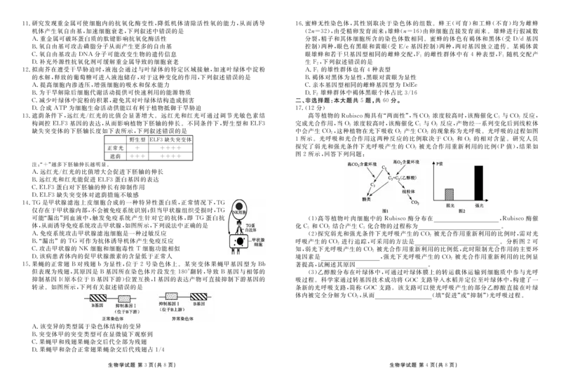 高三生物正文（2026届高三年级9月份联考）_2025年10月_251001广东衡水金卷2026届高三年级9月份联考（全科）_广东省衡水金卷2025-2026学年高三上学期9月月考生物试题（含答案）