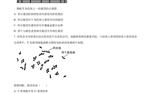 2024年北京高考真题生物试卷（原卷版）_高考真题全网收集_生物学_2024年新高考北京卷生物高考真题解析（参考版）