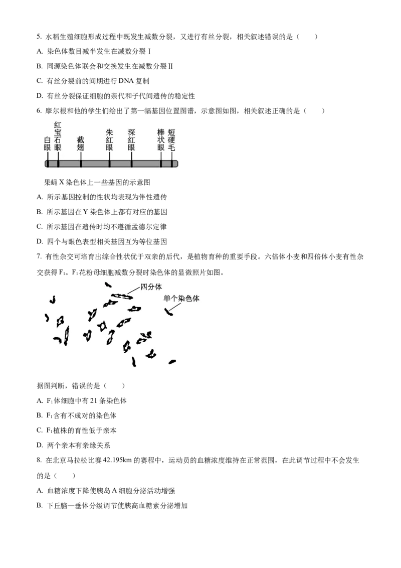 2024年北京高考真题生物试卷（原卷版）_高考真题全网收集_生物学_2024年新高考北京卷生物高考真题解析（参考版）