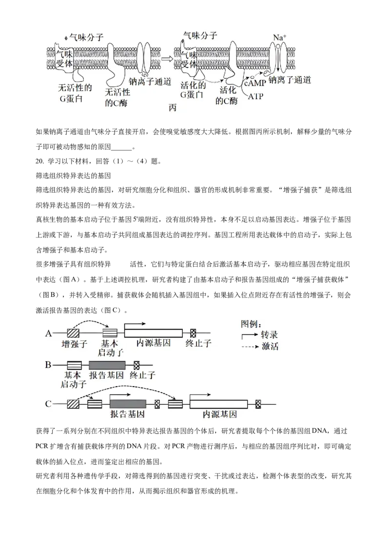2024年北京高考真题生物试卷（原卷版）_高考真题全网收集_生物学_2024年新高考北京卷生物高考真题解析（参考版）
