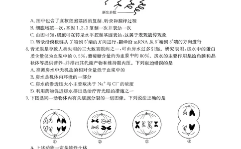 重庆金太阳2025届高三5月联考生物_2025年5月_250510重庆金太阳2025届高三5月联考（全科）