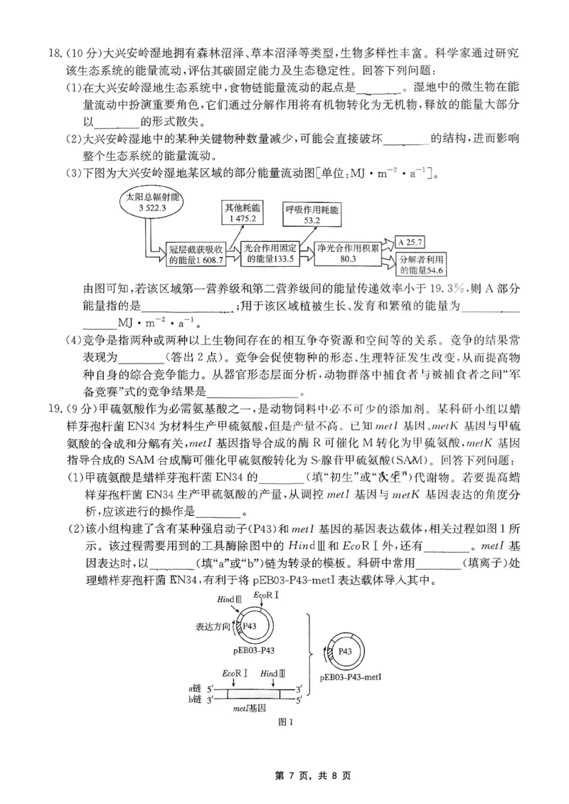 重庆金太阳2025届高三5月联考生物_2025年5月_250510重庆金太阳2025届高三5月联考（全科）