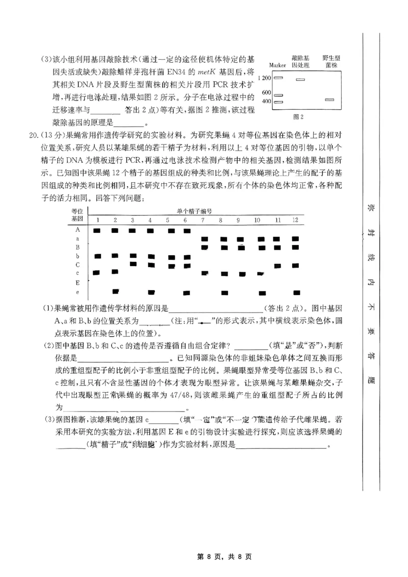 重庆金太阳2025届高三5月联考生物_2025年5月_250510重庆金太阳2025届高三5月联考（全科）