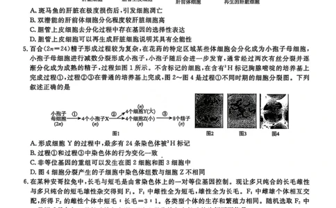 生物试卷-辽宁名校联盟2026届高三年级上学期期末质量检测(1)_2026年1月_260116辽宁名校联盟2026年1月高三上期末联考质量检测（全科）