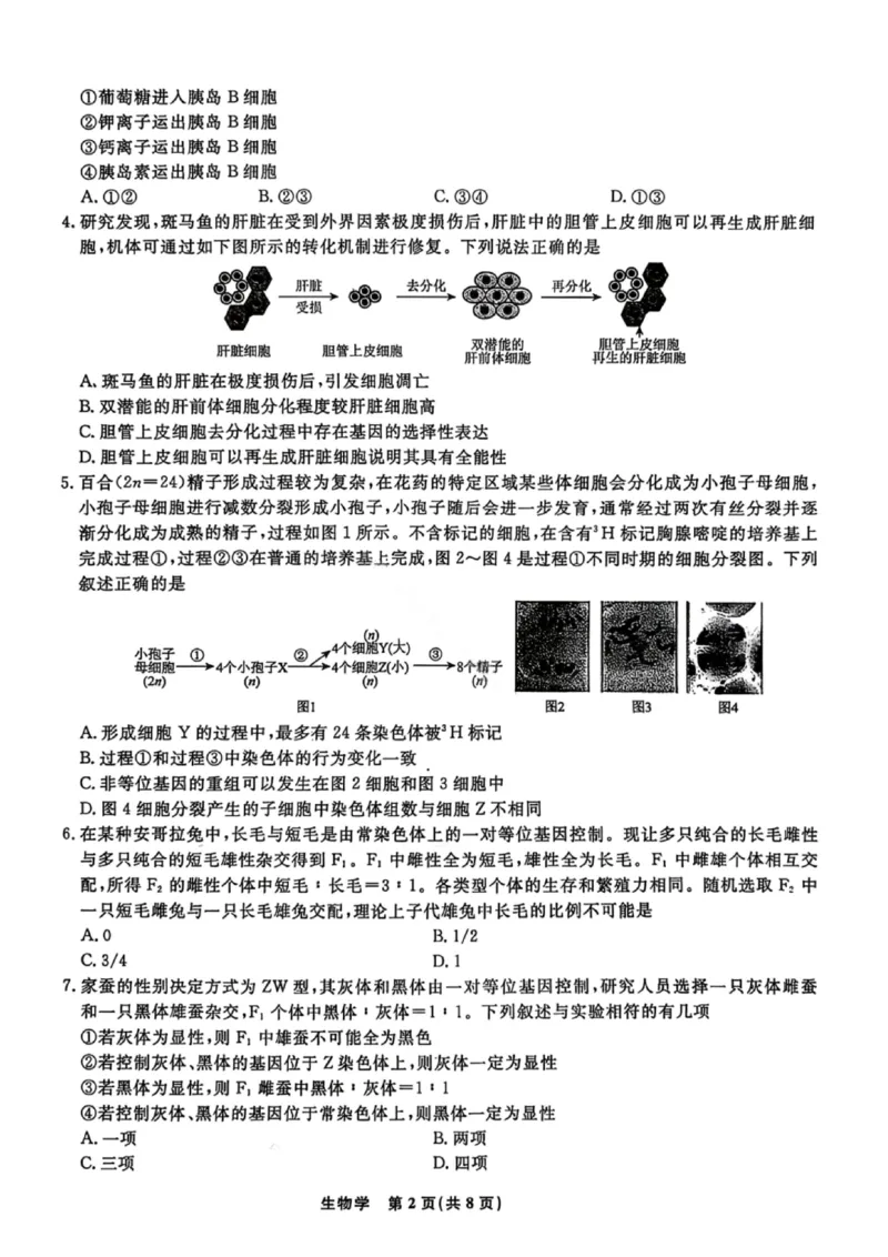 生物试卷-辽宁名校联盟2026届高三年级上学期期末质量检测(1)_2026年1月_260116辽宁名校联盟2026年1月高三上期末联考质量检测（全科）