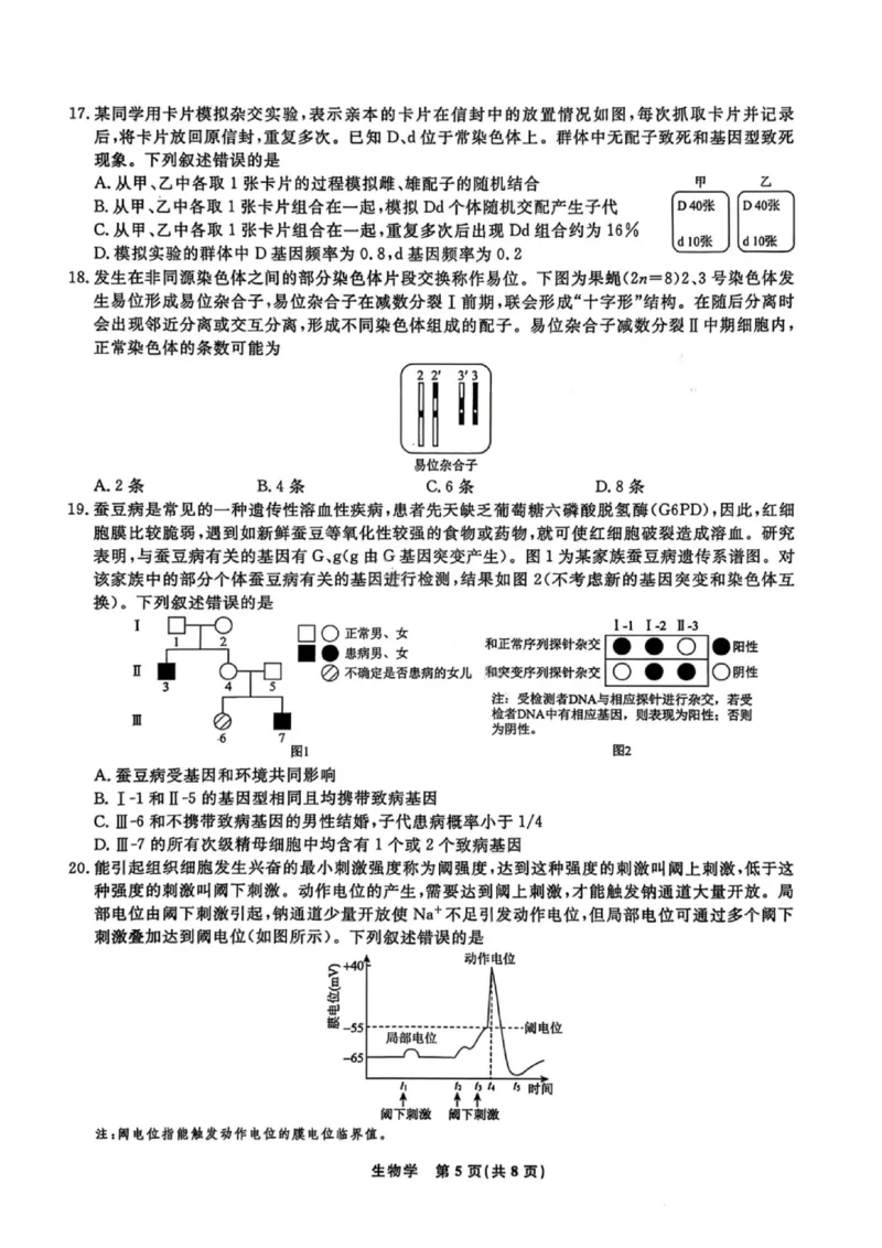 生物试卷-辽宁名校联盟2026届高三年级上学期期末质量检测(1)_2026年1月_260116辽宁名校联盟2026年1月高三上期末联考质量检测（全科）